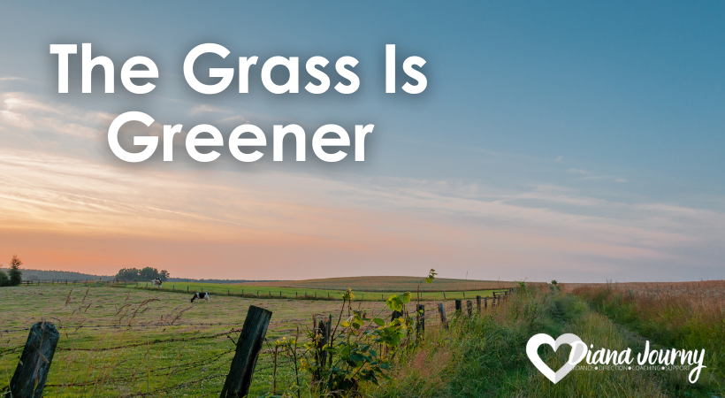 the grass is greener, farmland divided by a fence